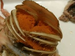 -马路边上·小海鲜烧烤(八一路店)
