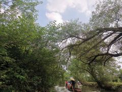 -会仙湿地