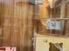 -上海崇明金茂凯悦酒店