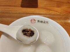 -海丝金凤(金鱼店)
