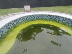 -广东温泉宾馆