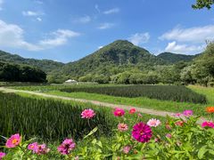 -八卦田遗址公园