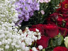 -何兮花店·气球派对鲜花店(马桥银春路万科城店)