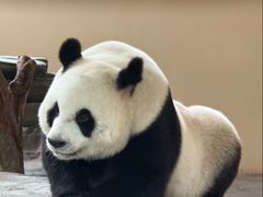 -宁波野生动物园