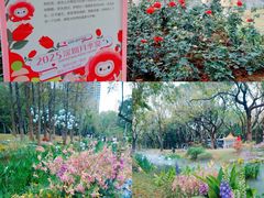 -人民公园(罗湖区)