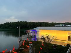 -大兴滨河森林公园