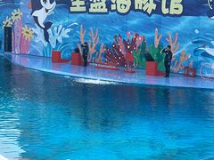 -北戴河圣蓝海洋公园