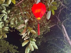 -会安古镇