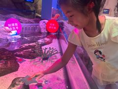 -沈阳海洋探索中心