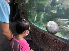 -苏州海洋馆
