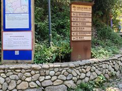 -杨家堂村