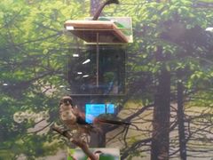 -下渚湖国家湿地公园科普馆