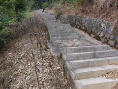 -北仑森林植物园