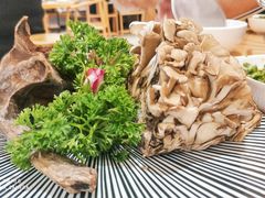 -湯系·煲汤手艺人(东二环泰禾广场店)