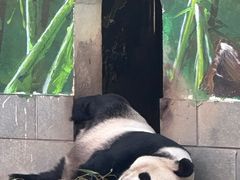 -南昌动物园