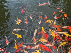 -白天鹅宾馆-健身中心