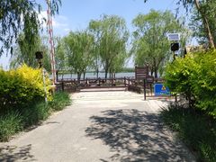 -西青郊野公园
