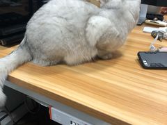 -青春加萌照相馆