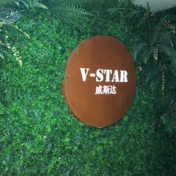 -V-STAR威斯达•高级私人定制
