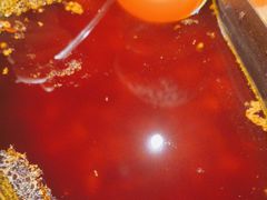 -刘火辣老火锅(光谷店)