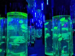 -成都浩海立方海洋公园