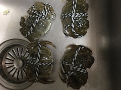 -喜洋洋蟹庄(阳澄湖店)