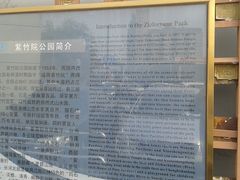 -紫竹院公园冰场
