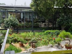 -蘇河湾·新鲁菜·泰山宴(泰山店)