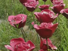 -三圣花乡旅游区