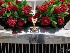 -同庆楼(花园店)