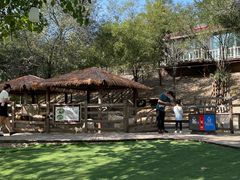 -北京鹿世界主题园