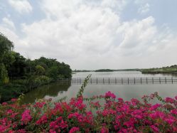 点击看大图 -云湖游乐园