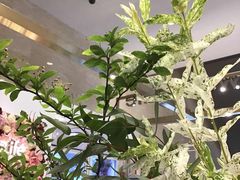 -花邻FloweringLife花艺气球派对(武康大楼店)
