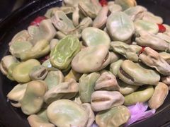 -大队长大灶鹅