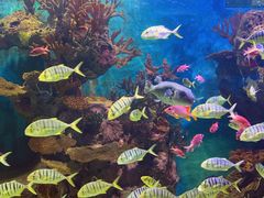 -多彩贵州城极地海洋世界