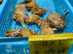 -天然居·漳港海鲜·海景餐厅(南澳总店)