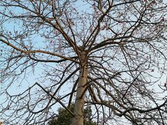 -百姓百味海鲜酒楼(粤垦路总店)