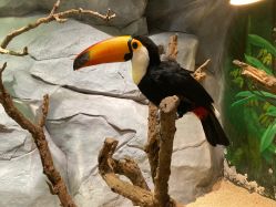 -Zoolung Zoolung动物主题公园(海信广场店)