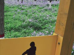 -思念果岭悦温泉