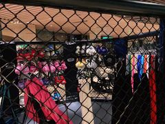 -威尔仕W FITNESS健身会所(联洋广场店)