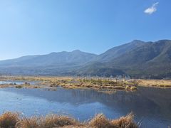 -腾冲北海湿地