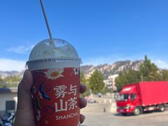 -雾与山茶(大禹城店)