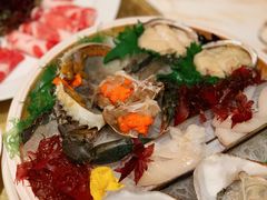 -咖啡苑 - 蔚藍夏日限定主题(永利皇宫店)