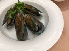 新西兰青口-宝园酒家(美林M·LIVE天地东座店)