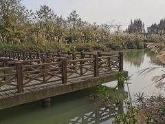 -桤木河湿地公园