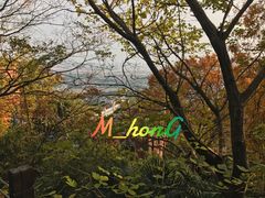 -上海佘山国家森林公园西佘山园