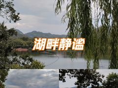 -西湖游船