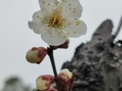 -蠡湖大桥公园