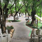 漫步公园