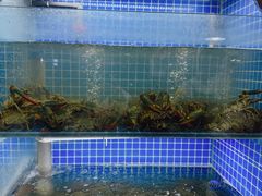 -星记小馆·小蓝龙·老南京砂锅菜(上海路店)
